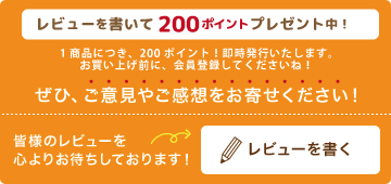 レビューを書く